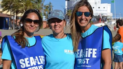 233f7d5112adc6d48bc521de1162e43475079415