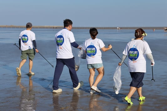 Global beach clean