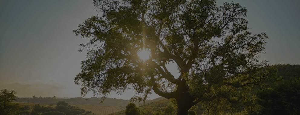 Oak-Onboarding