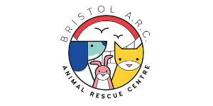 Copy of NPE double logo lister 120 x 60