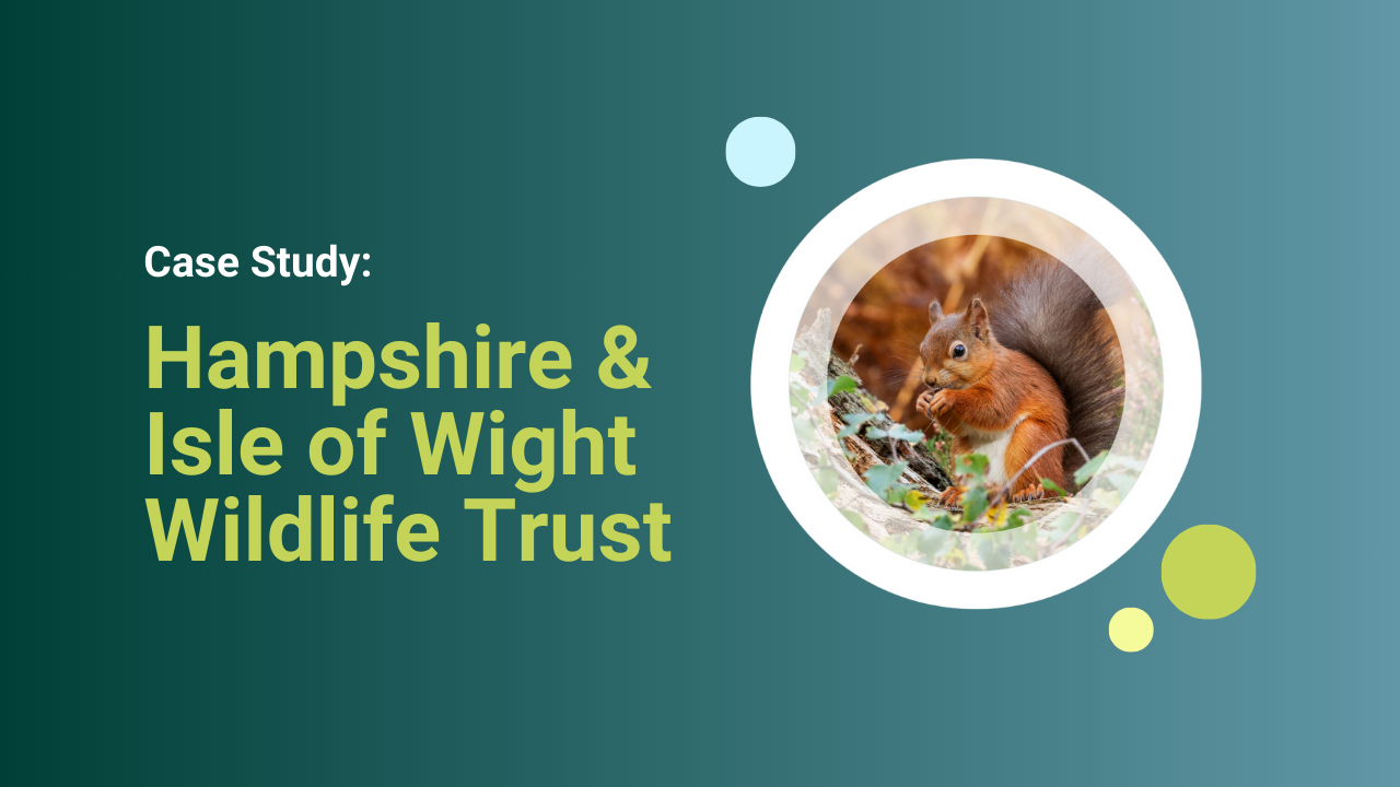 Donorfy Digest Thumb (1)