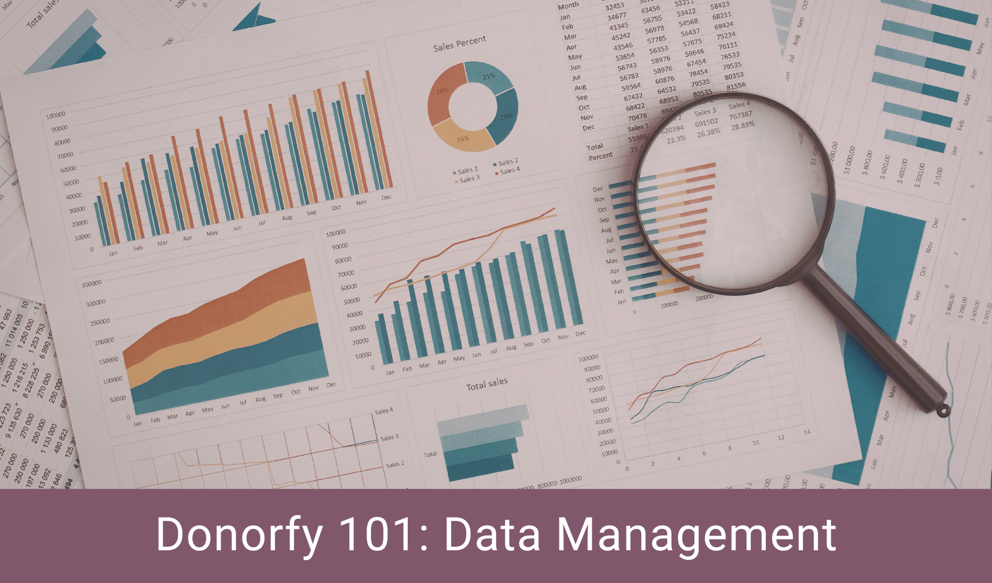Donorfy101_Data Management