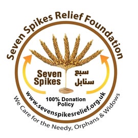 Seven Spikes Charity