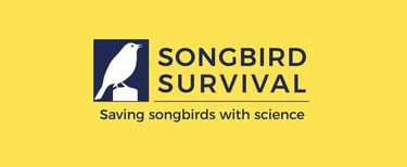 Songbird Survival
