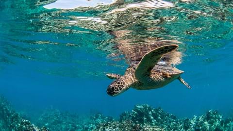 f60a915e9a04cd8d41cb0e6d5738de5642978f15